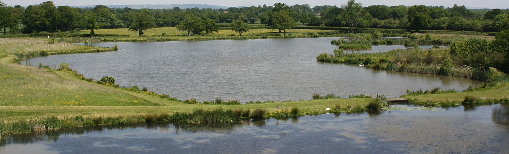 bean fishing lake - newdigate farms estate