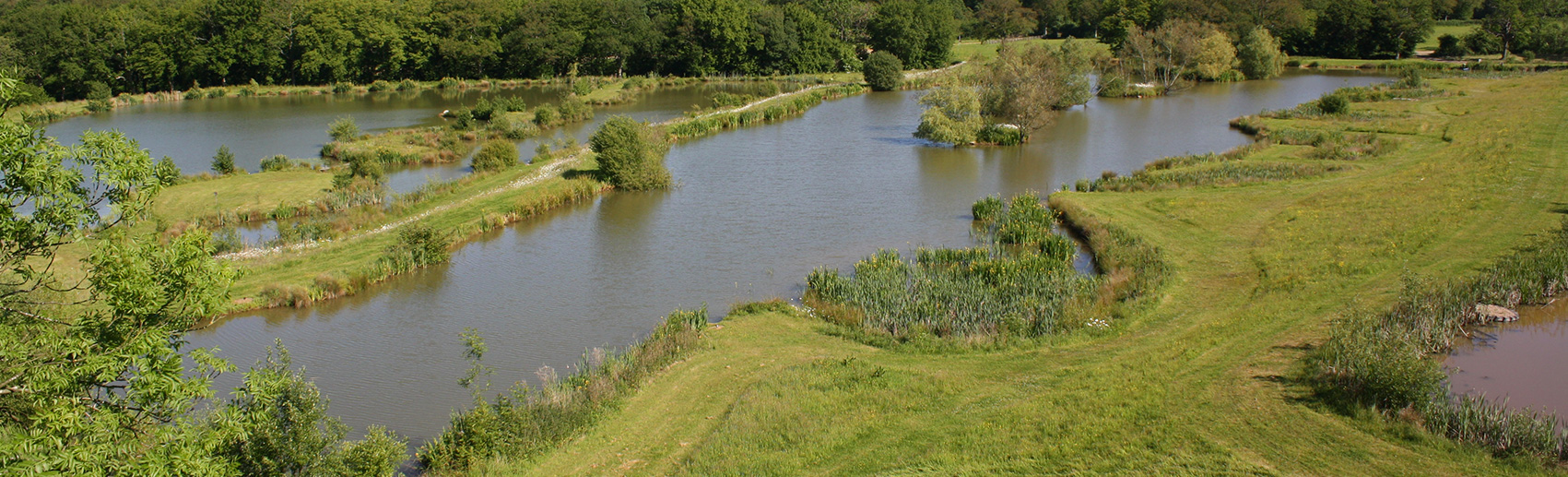 clover fishing lake - newdigate farms estate