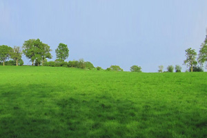 field lets at newdigate farms estate