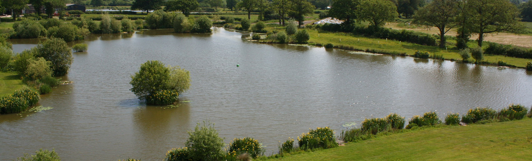 guinea fishing lake - newdigate farms estate