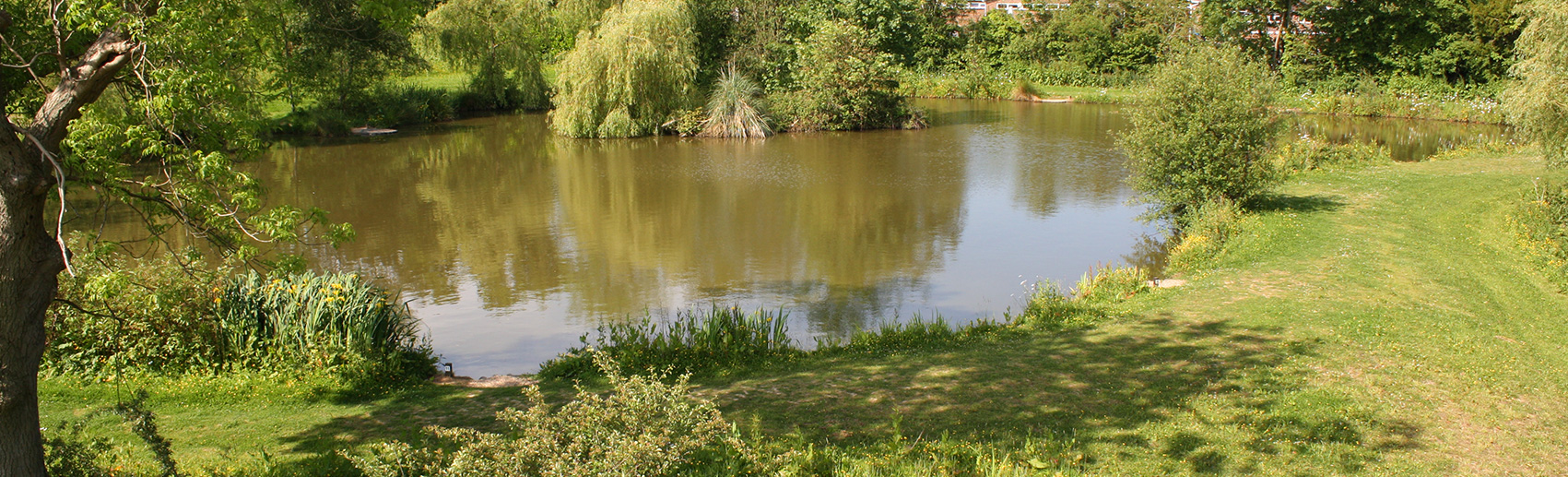 paddock fishing lake - newdigate farms estate