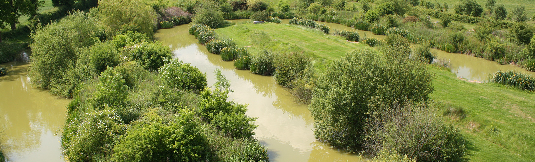 snake fishing lake - newdigate farms estate