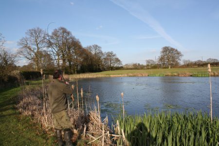 Copse Meadow Lake
