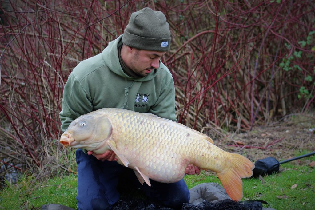 January - Paddock 1 - 36.8lb