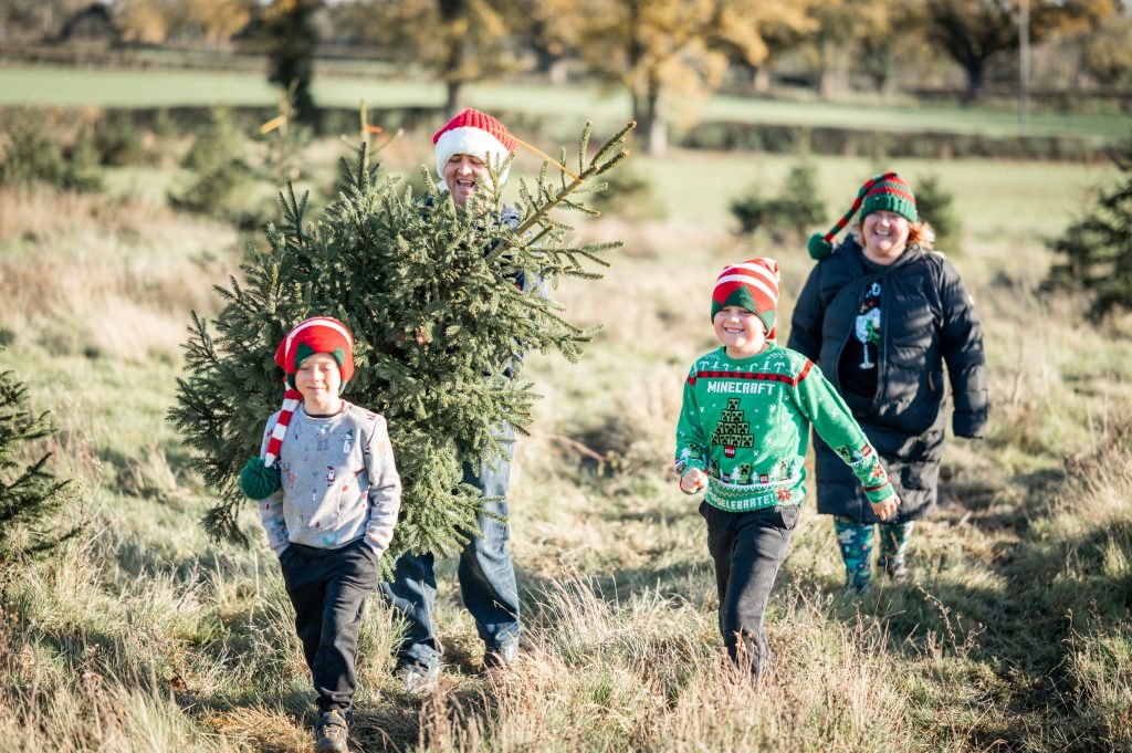 Festive Family Tradition 