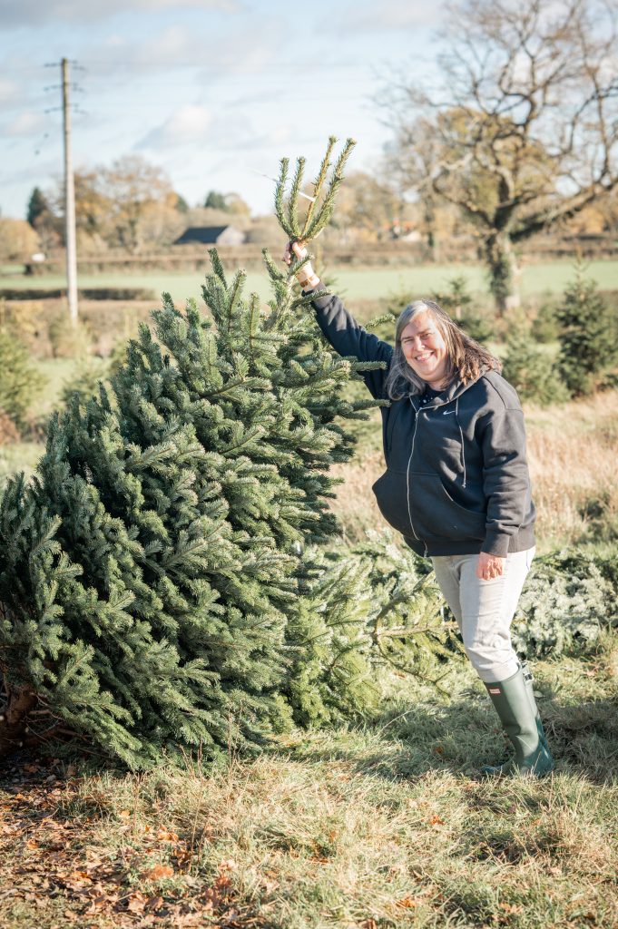 Picking the perfect Christmas Tree